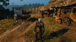 The Witcher 3 Wild Hunt - Debug Console Mod