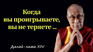 Эти слова на вес золота. Мудрейшие цитаты Далай Ламы