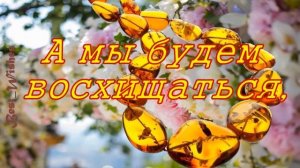 34 Года Свадьбы Поздравление с Янтарной Свадьбой с годовщиной, Красивая Прикольная Открытка в Стиха