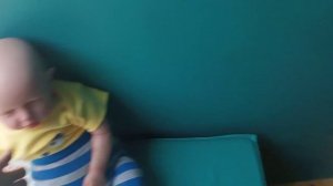 день   с реборном /#реборн