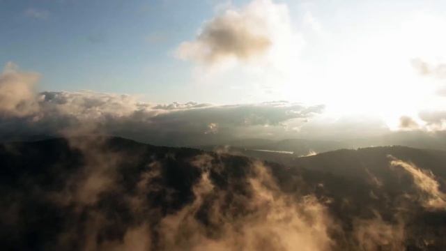 Красивое видео лесных пейзажей,с музыкой для релаксации. Успокаивающая музыка смотреть онлайн