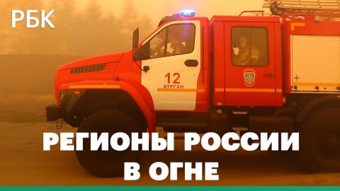 Деревья и дома в огне. Природные пожары в 77 регионах России