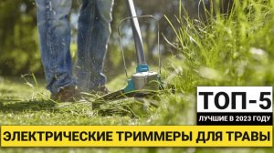 Рейтинг ТОП-5 электрических триммеров для травы | Лучшие в 2023 году