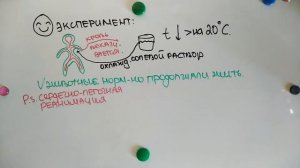 Можно ли воскресить человека? | Биология