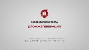 Балымова Е.С.  Лабораторная работа 3