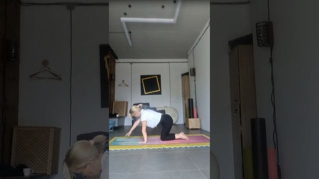 20 минутная разминка смотреть онлайн