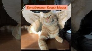 Все треки из альбома Симбочка Да Я Котик