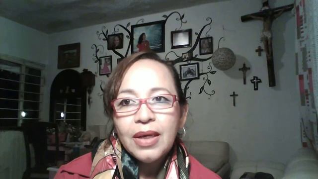 ASCLEPIA CURASSAVICA смотреть онлайн