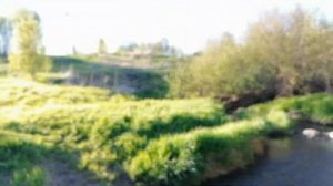 Река Кикенка у Стрельны. 22.05.2022.