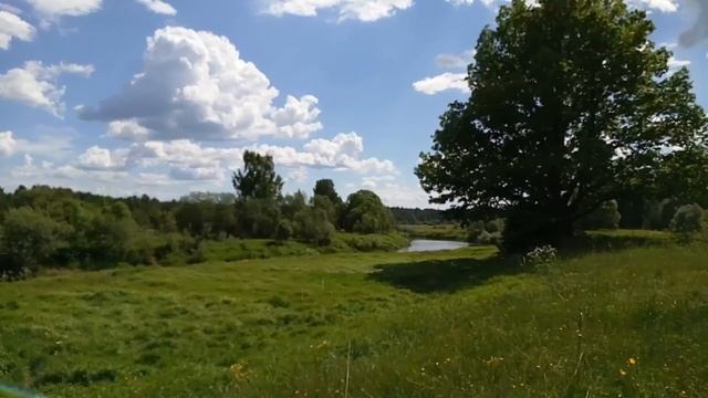 Река Тьма Стренево Тверская область смотреть онлайн