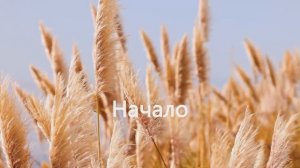 Начало