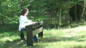 Самоучитель игры на пианино (фортепиано) - вводный урок