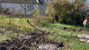 Купили Дом на Юге?Огородные Дела Продолжаются?Чудо ПОДКОРМКА для Смородины?Полезный Чай