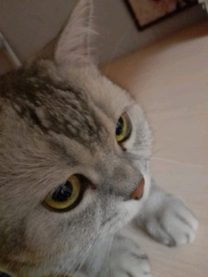 квадробика ))))