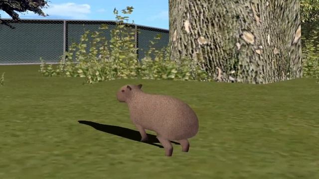 СЛИВ СКИНА КАПИБАРЫ В ГТА САМП!!!!! ЛУЧШИЙ СКИН В МИРЕ ГТА САМП?!?!?! КАПИБАРА В ГТА САМП смотреть онлайн