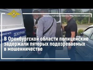 Ирина Волк: В Оренбургской области полицейские задержали пятерых подозреваемых в мошенничестве