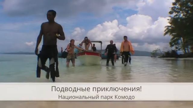 Таинственная Индонезия. Биолого-этнографический тур. смотреть онлайн