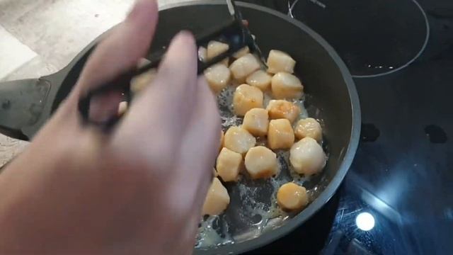 Морской гребешок | Sea Scallop