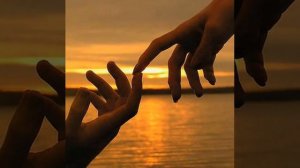 "День сменяет ночь"