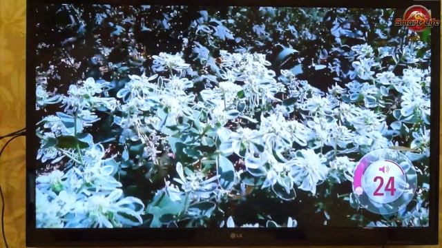 Подключаем смартфон к телевизору! Обзор MiraScreen за 10$! смотреть онлайн