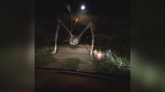 Что такое СУЩЕСТВО С ДОРОГИ | Country Road Creature смотреть онлайн