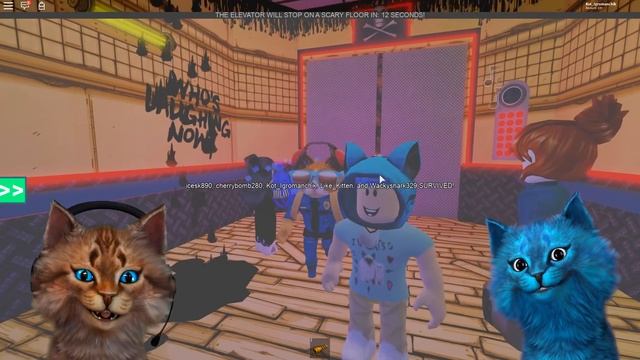 ПИГГИ И АНИМАТРОНИКИ В СТРАШНОМ ЛИФТЕ В РОБЛОКС (ROBLOX SCARY ELEVATOR) Весёлый Кот и КОТЁНОК ЛАЙК смотреть онлайн
