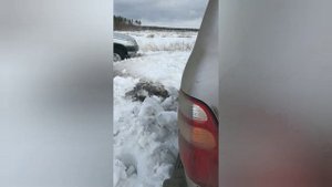 Ford Kuga 2 Freelander 2 LandCruiser offroad КРОССОВЕРЫ доминируют над Нивами?!