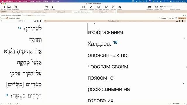 17. Виталий Олейник Разумеешь ли, что читаешь Похож ли человек на Бога внешне Бытие 1_26,27.mp4