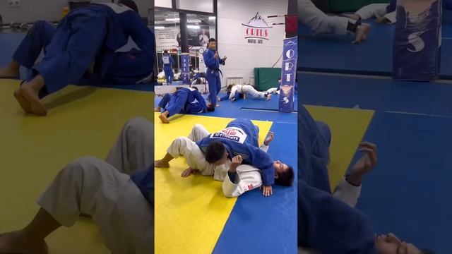 Judo Ne-Waza, отработка реакции атаки в партере. Школа по дзюдо ORTUS.KZ. Дзюдо в Астане.