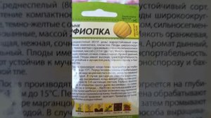 дыни. Амина f1 партнёр, эфиопка и сладкая неженка от семена Алтая.