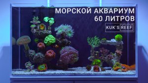 Морской аквариум 60л | Reef tank 60l