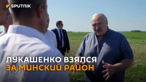 "Брошенные земли": Лукашенко решил взяться за Минский район