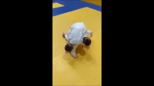 Дзюдо дети 7-10 лет СК Пересвет Новомосковск