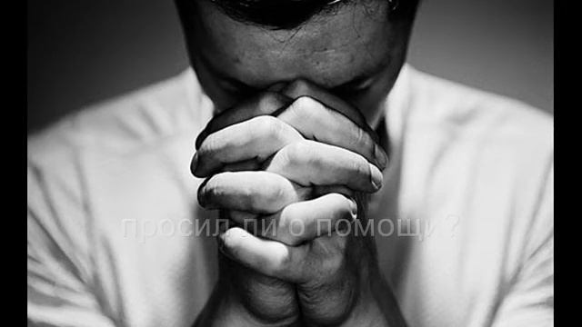 думаю, что люди переживают одни и те же эмоции.wmv смотреть онлайн