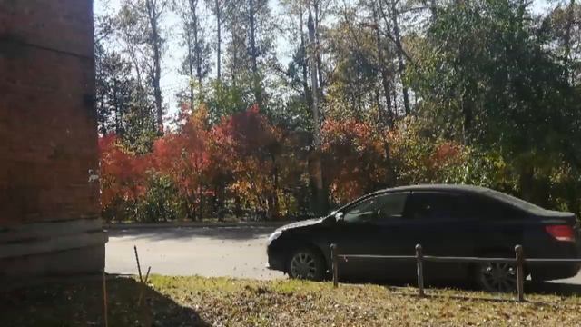 Осень золотая в Сибири! г.Шелехов смотреть онлайн