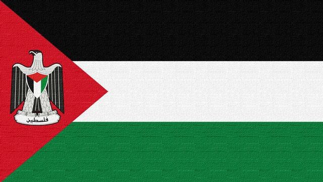 State of Palestine Anthem (Instrumental) Fida'i