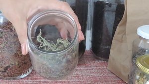 Какие ПОЛЕЗНЫЕ ТРАВЫ для чая  сушу ежегодно на зиму в домашних условиях