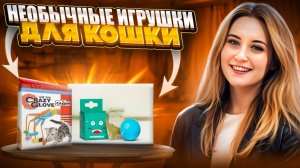 Необычные игрушки для кошек