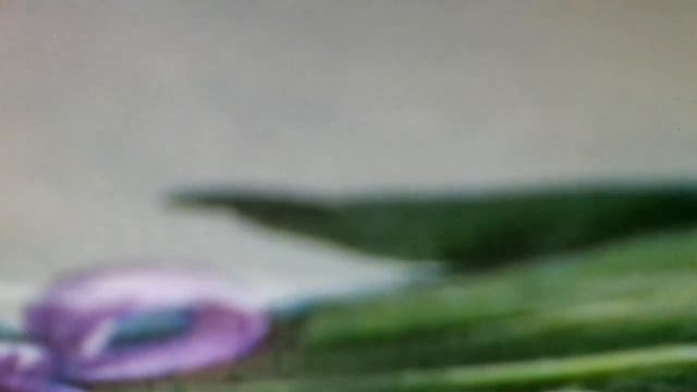 Про семью(Для тебя и меня мир всегда наполнен светом,ведь у нас есть семья, где уют зимой(наброски) смотреть онлайн