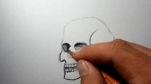 Как нарисовать череп | skull drawing