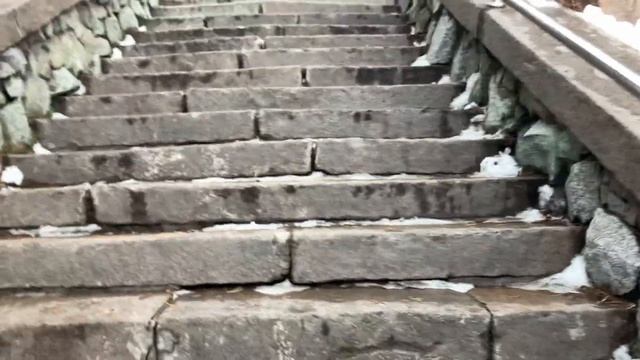 Поход в горы: Медеу и самый высоко расположенный каток в мире смотреть онлайн