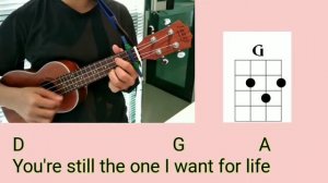 You're Still The One Ukulele Tutorial Easy Chords