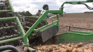 ОЧИСТКА КАРТОФЕЛЯ Комбайн AVR SPIRIT 6200 -  Колнаг в работе