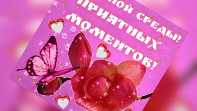 С добрым утром среды! смотреть онлайн