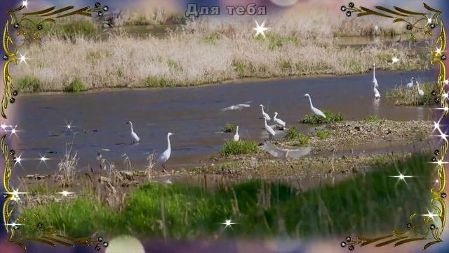 Трогательные стихи.... Нам придется за все ответить... С добрым утром! Музыка Сергей Чекалин
