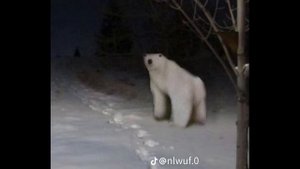 НОЯБРЬ 2026 ,  РАЗБОР!