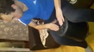 Барабанит в барабан.