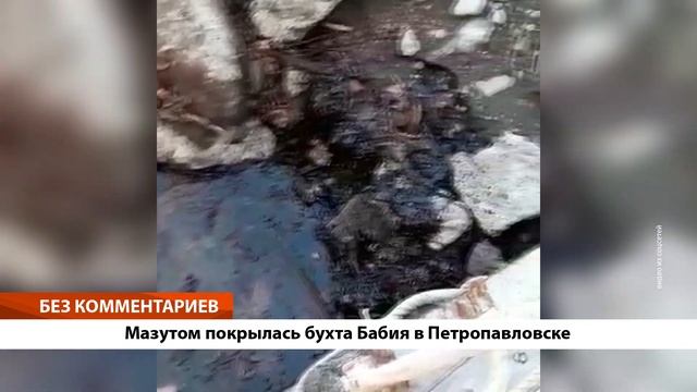 БЕЗ КОММЕНТАРИЕВ: МАЗУТОМ ПОКРЫЛАСЬ БУХТА БАБИЯ В ПЕТРОПАВЛОВСКЕ смотреть онлайн