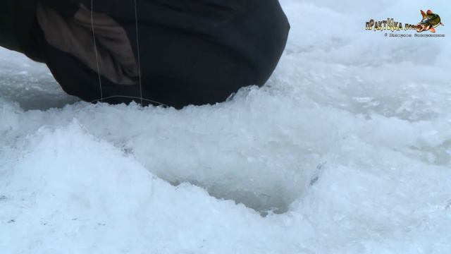 Поимка крупного окуня на безмотылку смотреть онлайн