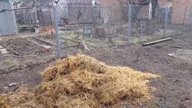 Устанавливаем двери. Прибираемся в курятнике. Скоро ремонт на летней кухне...